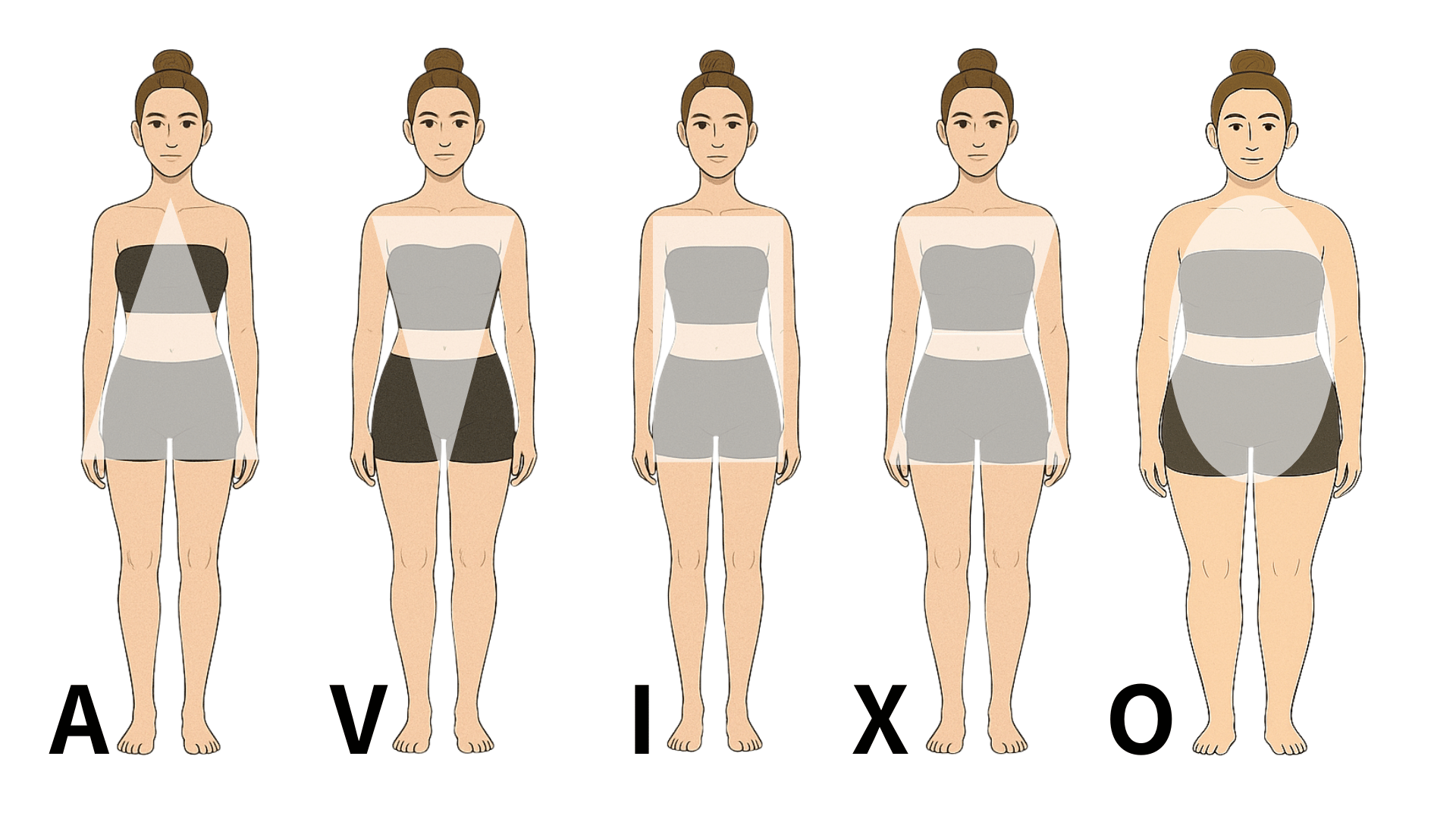 女性体型